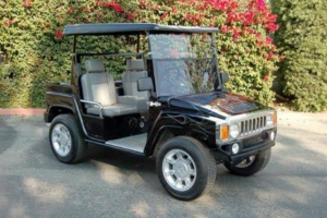 affordable golf cart rental, golf cart rental sacramento, sacramento golf cart rental golf cart rental 
